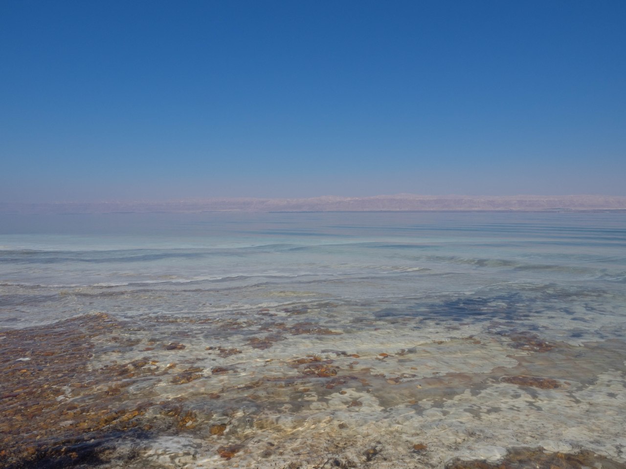 Saucette à la Mer&nbsp;Morte