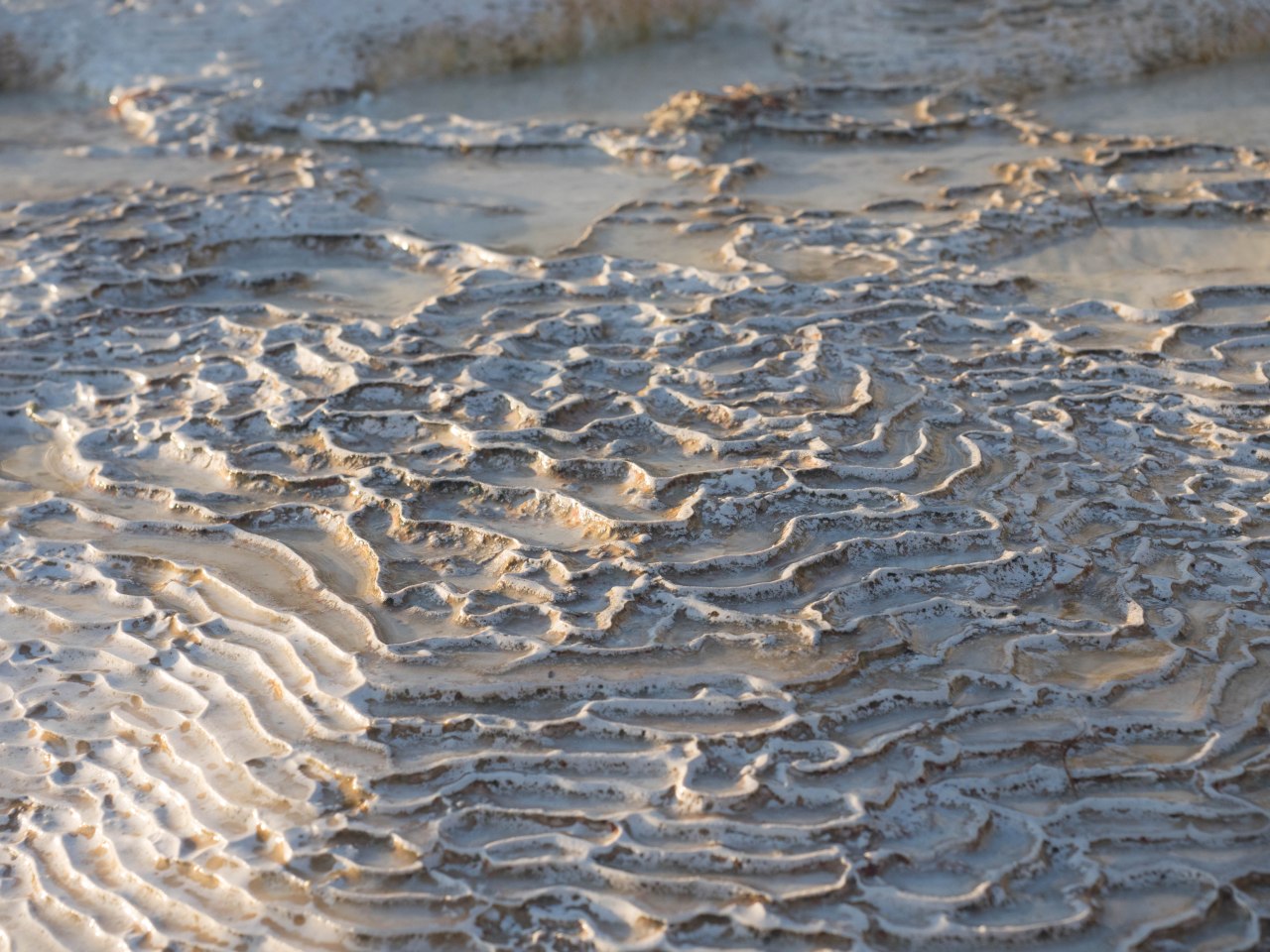 On a marché sur la&nbsp;lune
