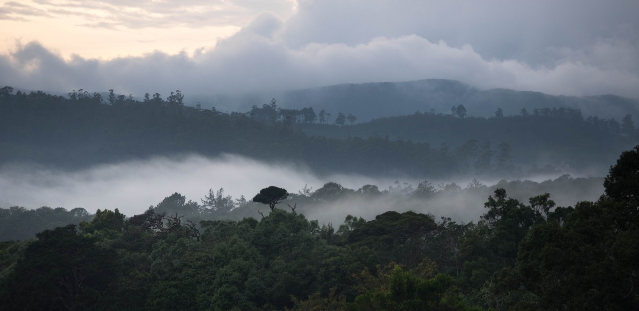 Plaisirs des montagnes